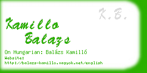 kamillo balazs business card